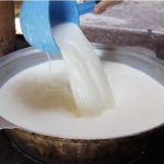 Making Yoghurt / Tarag
