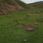 View over herds of yaks, sheep, goats-2