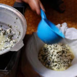 Making wild-onion cheese (byaslag)-1
