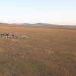 Steppe landscape from above 4