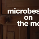 Microbes on the Move: A Traveling Conference